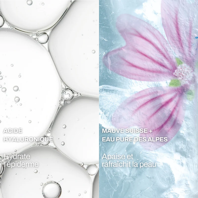 Routine Soin Visage Hydratant - AQUA PLUS