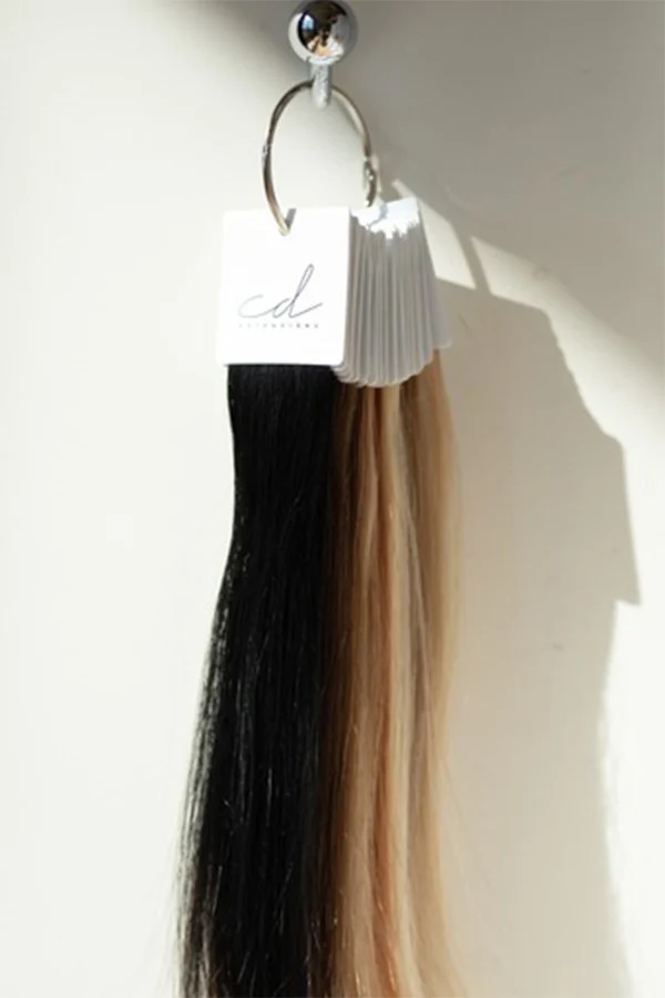 Nuancier CD Extensions