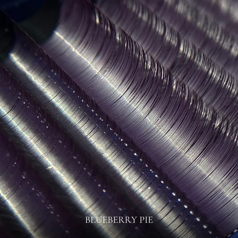 EASY FANS BLUEBERRY PIE