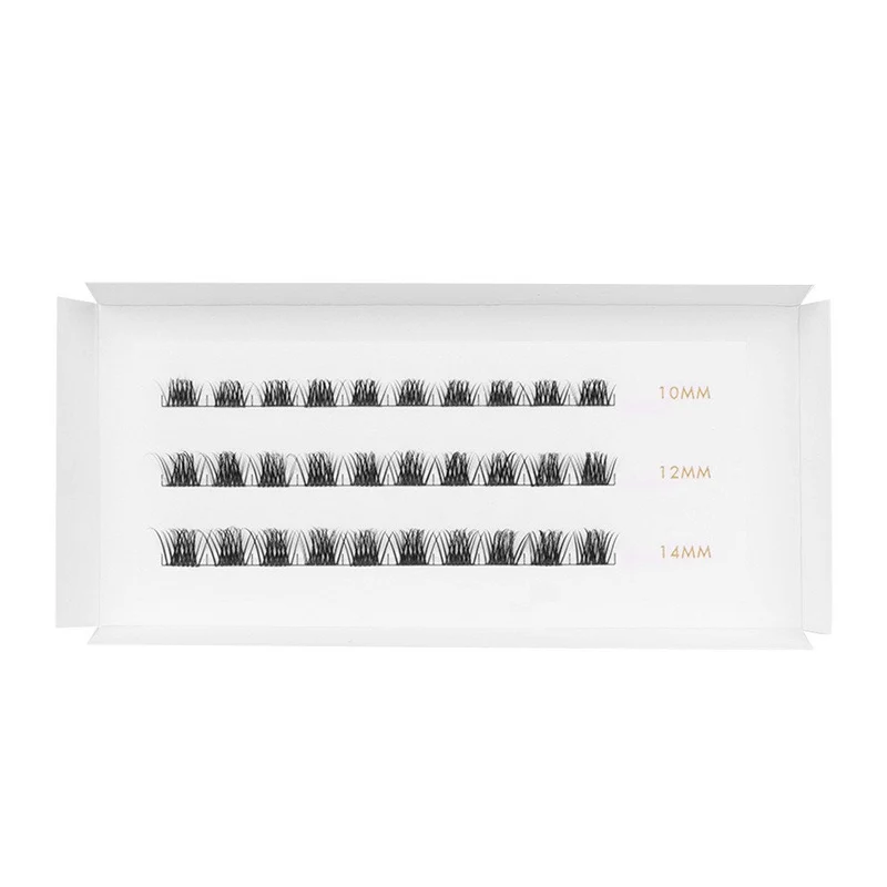 LASH CLUSTER KOUTNEY D