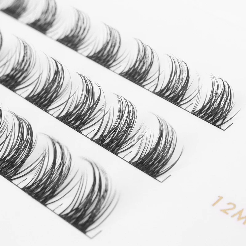 LASH CLUSTER KOUTNEY D