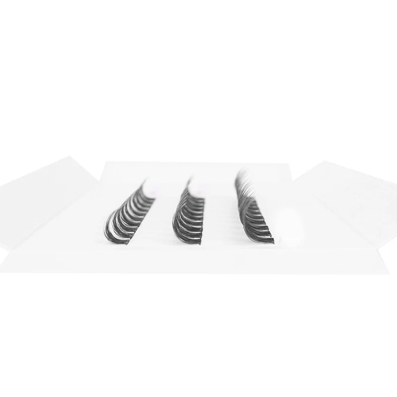LASH CLUSTER KOUTNEY D