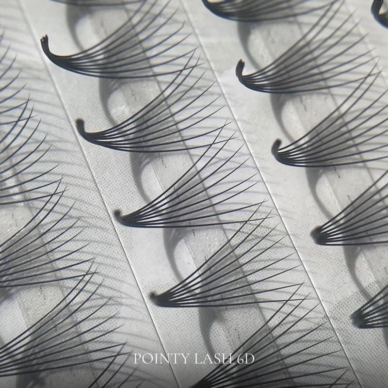 Pointy Lash 6D MIX – Bouquets Volume Russe Intense Effet Fait Main (Base Ultra Fine)