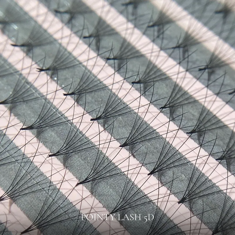 Pointy Lash 5D MIX – Bouquets Volume Russe Intense Effet Fait Main (Base Ultra Fine)