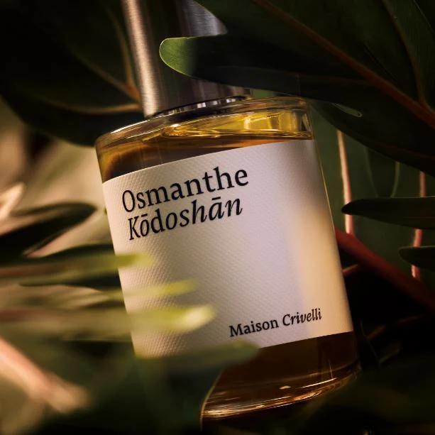 Osmanthe Kodoshan