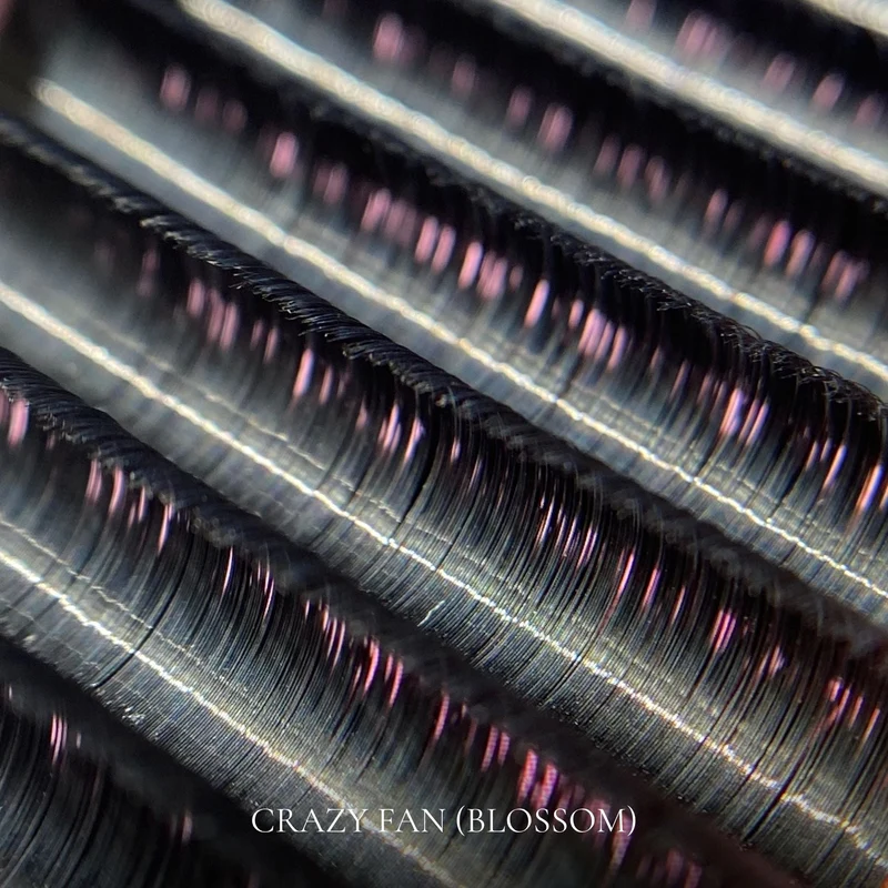 CILS EN SOIE CRAZY FANS MIX - easy fan