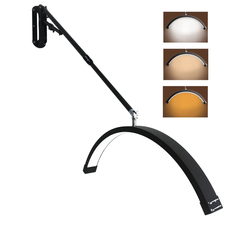 Luna 🌙 LED Wall Mount Half Moon Light