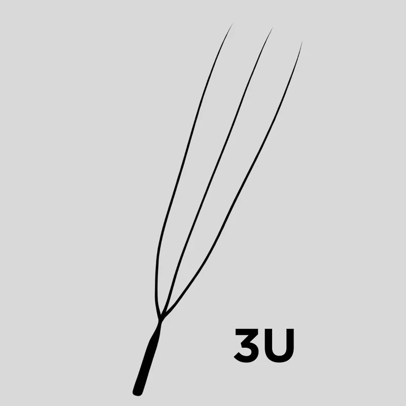 *Nouveau* Collection 3U
