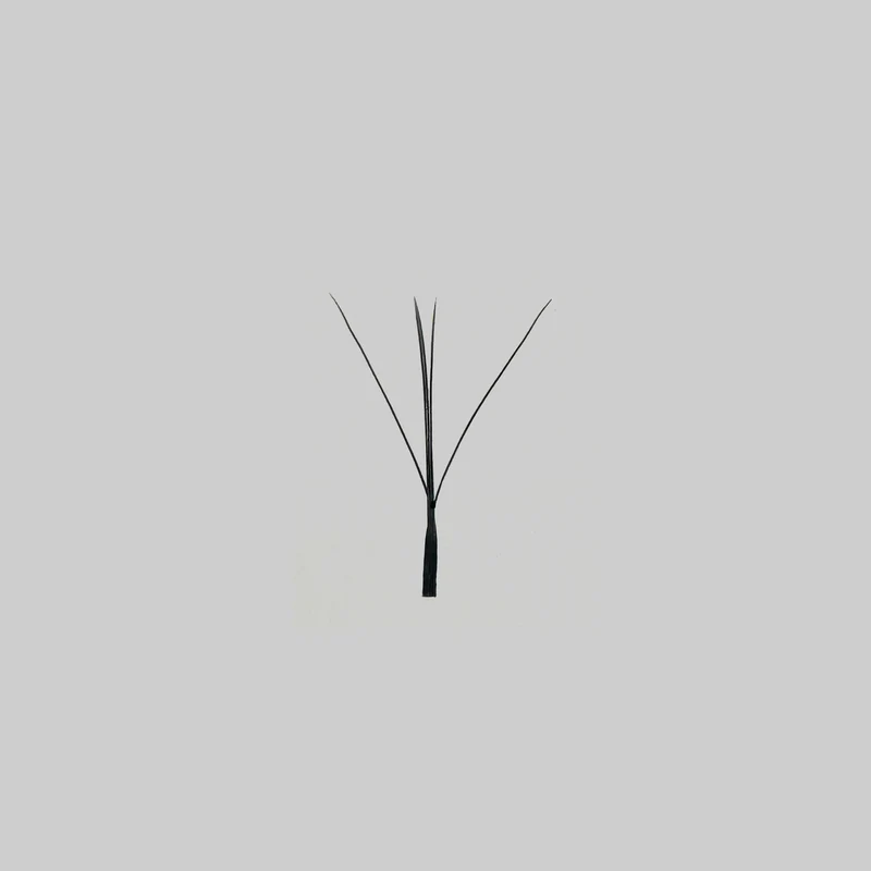 *NOUVEAU* Collection 3YY WISPY