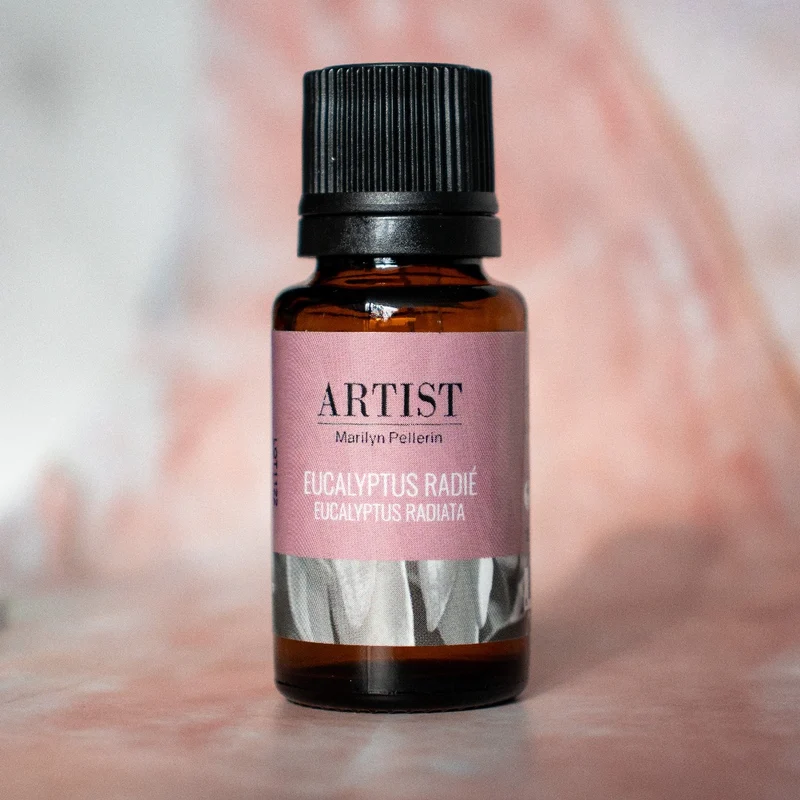 Huile essentielle - Eucalyptus radié biologique ARTIST