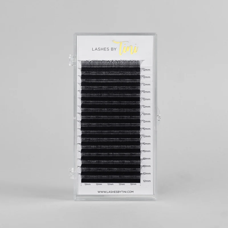 *NOUVEAU* Collection 3YY WISPY