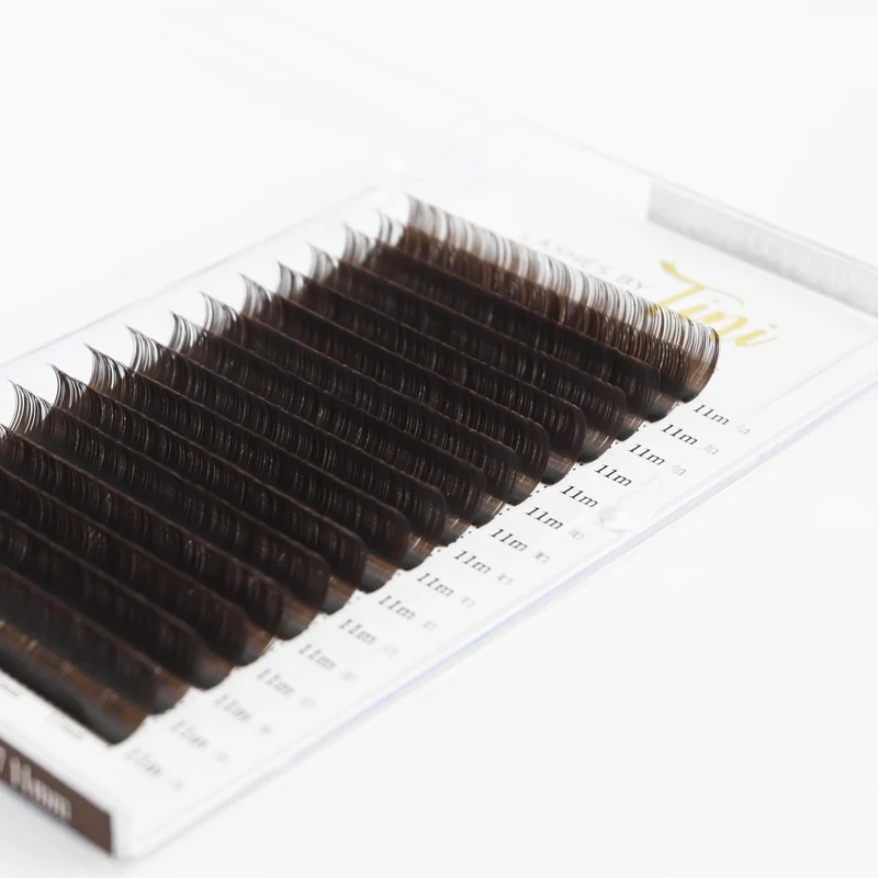 Collection Brun Chocolat - Courbe C