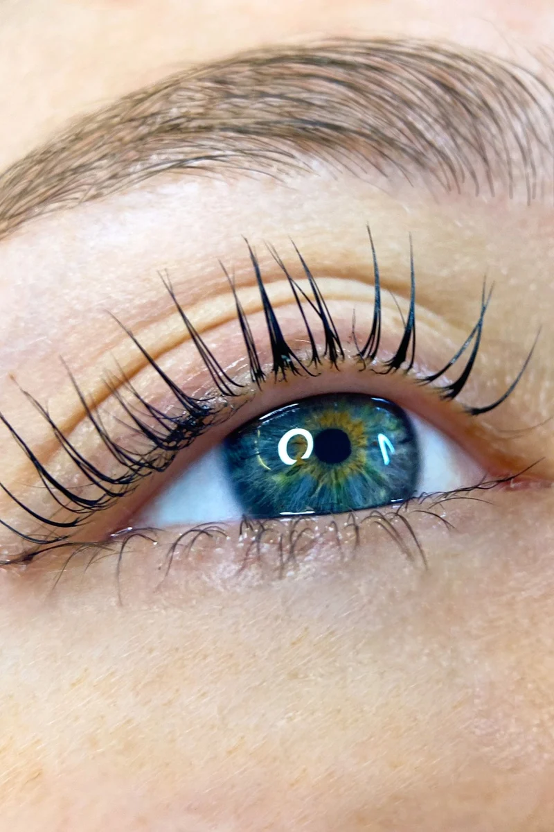 Formation Rehaussement de cils