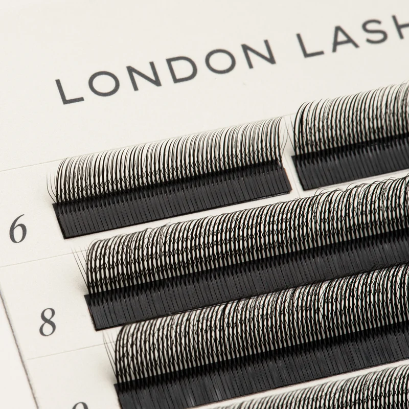 SpeedYY Lashes - 3DW with Spike