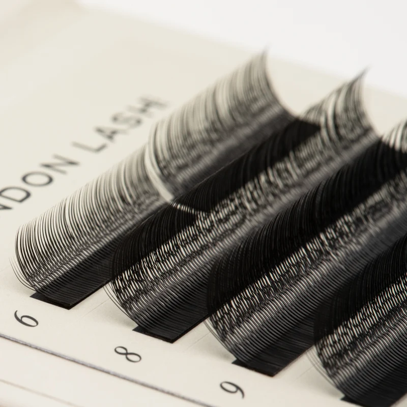 SpeedYY Lashes - 3DW with Spike