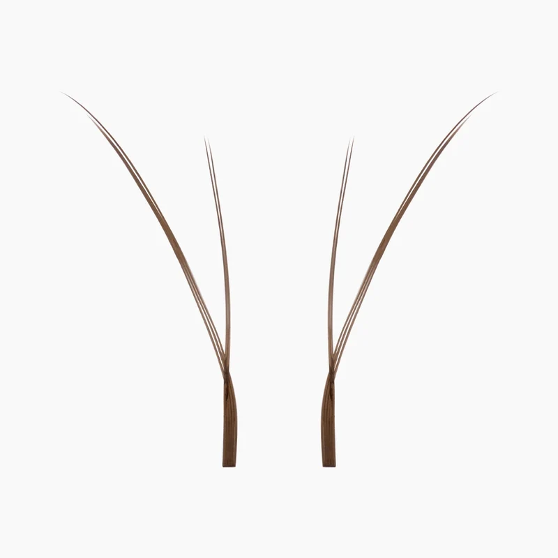 Kitten Lashes - Marron