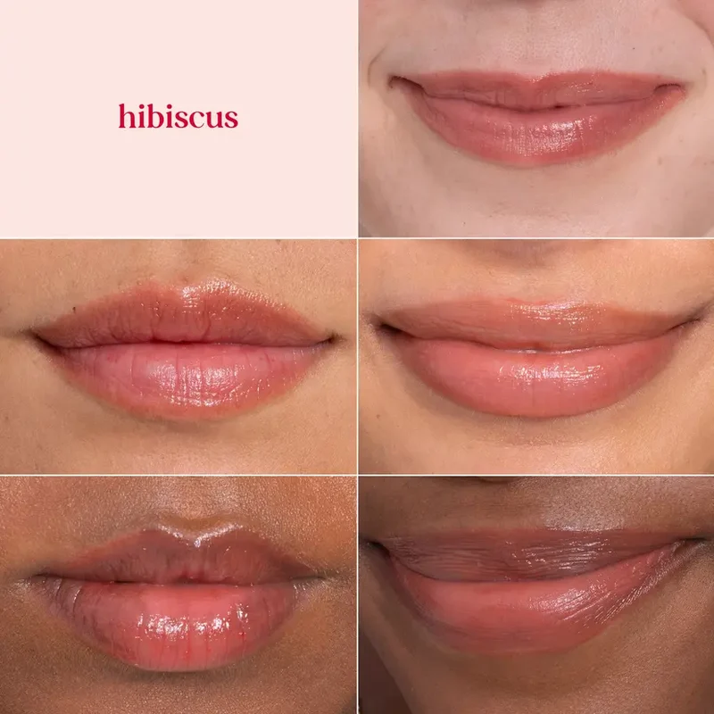 Burt's Bees Tinted Lip Balm Hibiscus