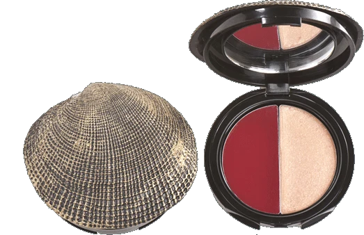 DuWop Seashell Lip Dual - Lipstick and Lipgloss - Thief