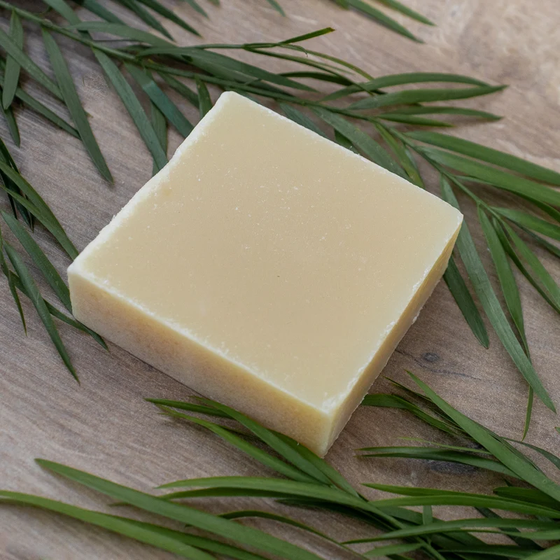 Ensemble Entretien des Pinceaux