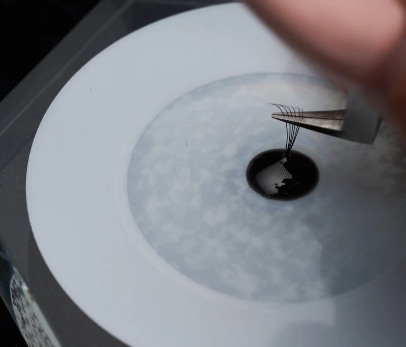 Adhesive Film-Eyelash Extensions Protection