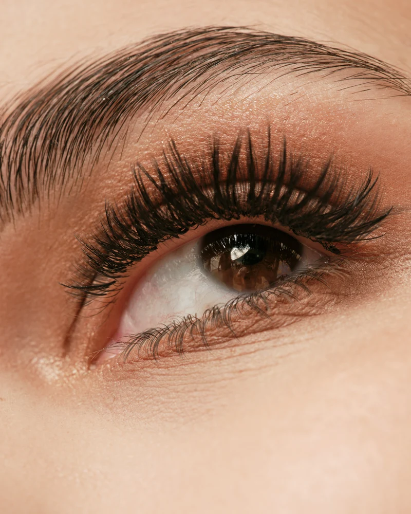 Signature Bond - Our Premium Eyelash Extension Glue