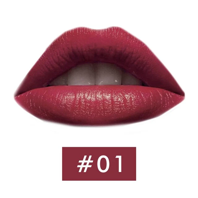 Matte Lipstick for girls Lips Waterproof Long Lasting Nourishing velvet red Lipstick Tint Nude Cosmetics Lipstic Makeup Set kit