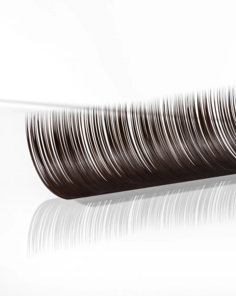 Brunette EyeLash Extensions (Multi Length Trays)