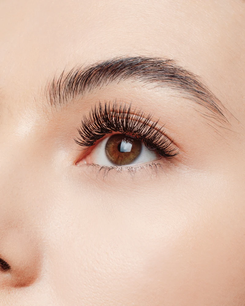 Bridging + Lash Extension Illusions Course