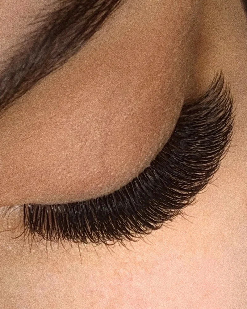 CC-Curl Plush Lash Extensions (Mixed Trays)