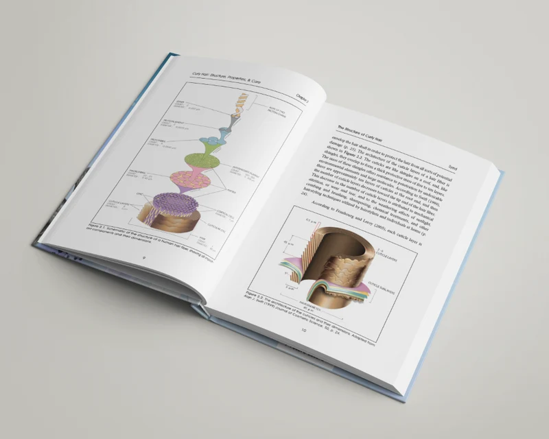 Le livre des cheveux bouclés - par le Dr Ali Syed