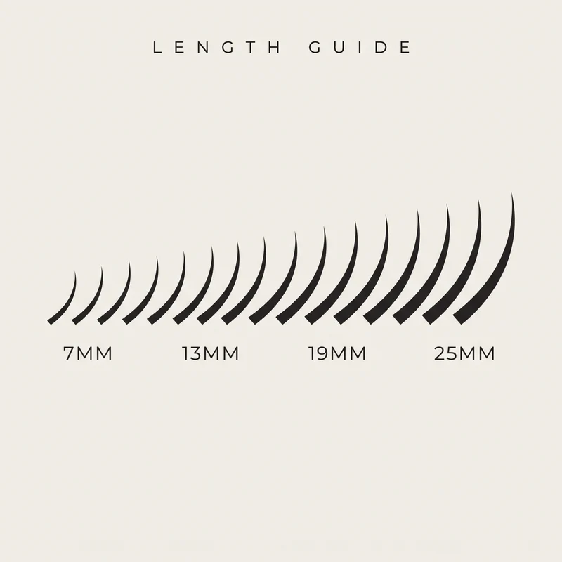 CASHMERE LASH TRAYS