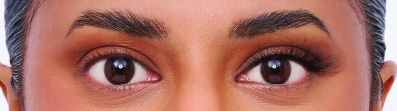Eylure Natural Lashes Brown Black 033